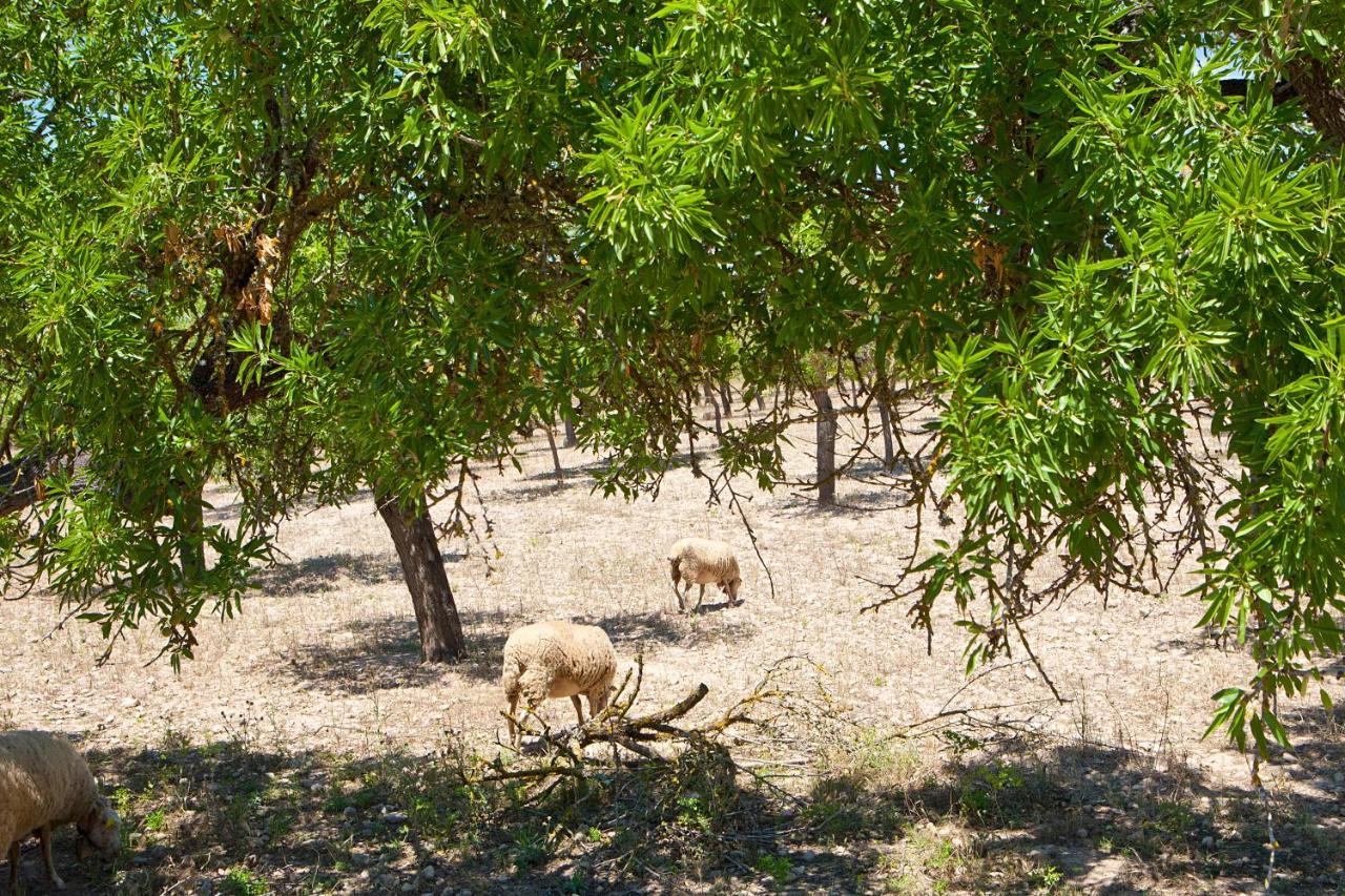 S'Hort De Son Caulelles - Adults Only Villa Marratxí Kültér fotó