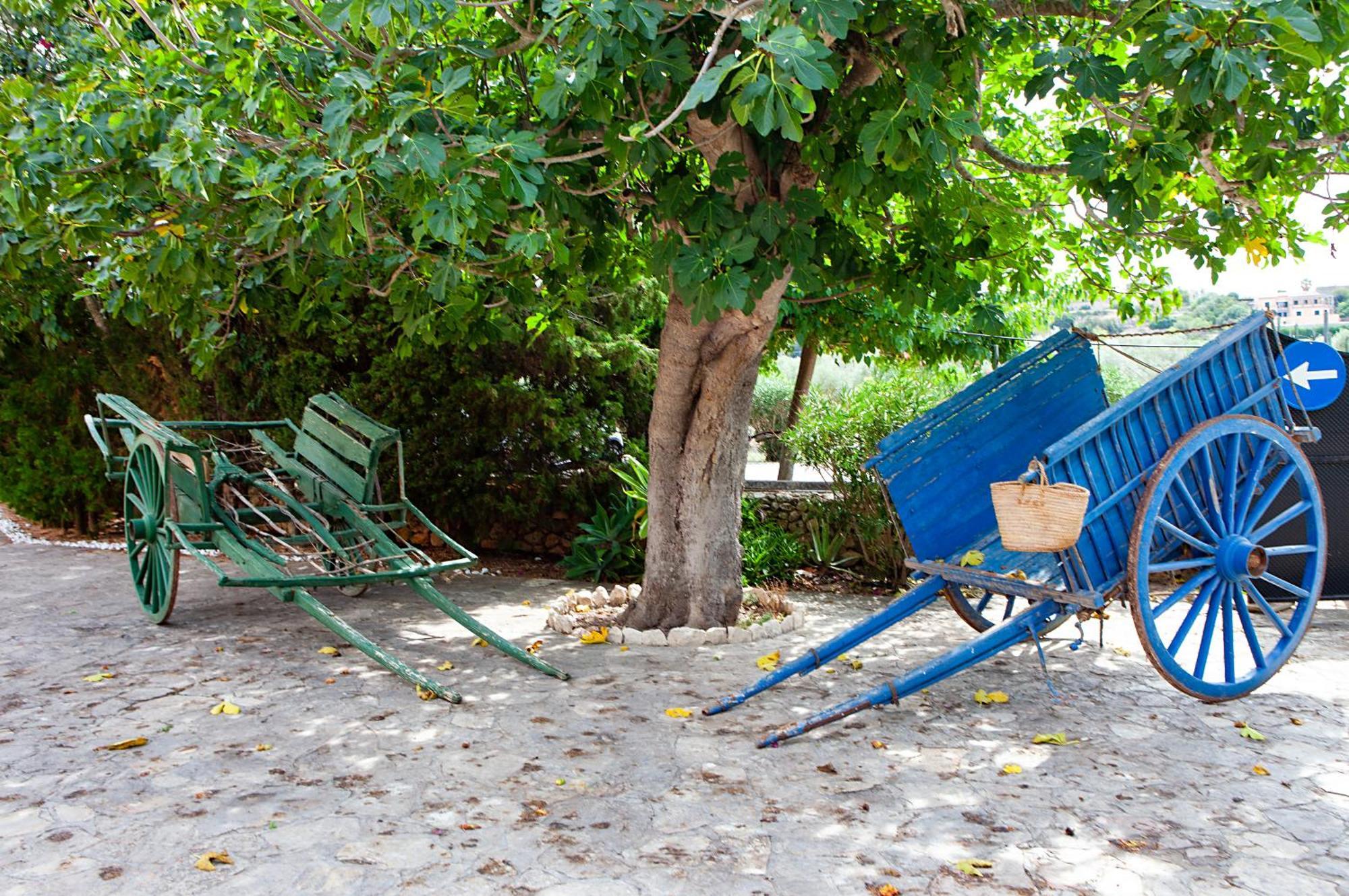 S'Hort De Son Caulelles - Adults Only Villa Marratxí Kültér fotó